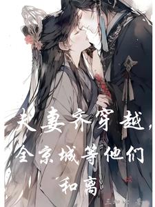 夫妻一同穿越小说